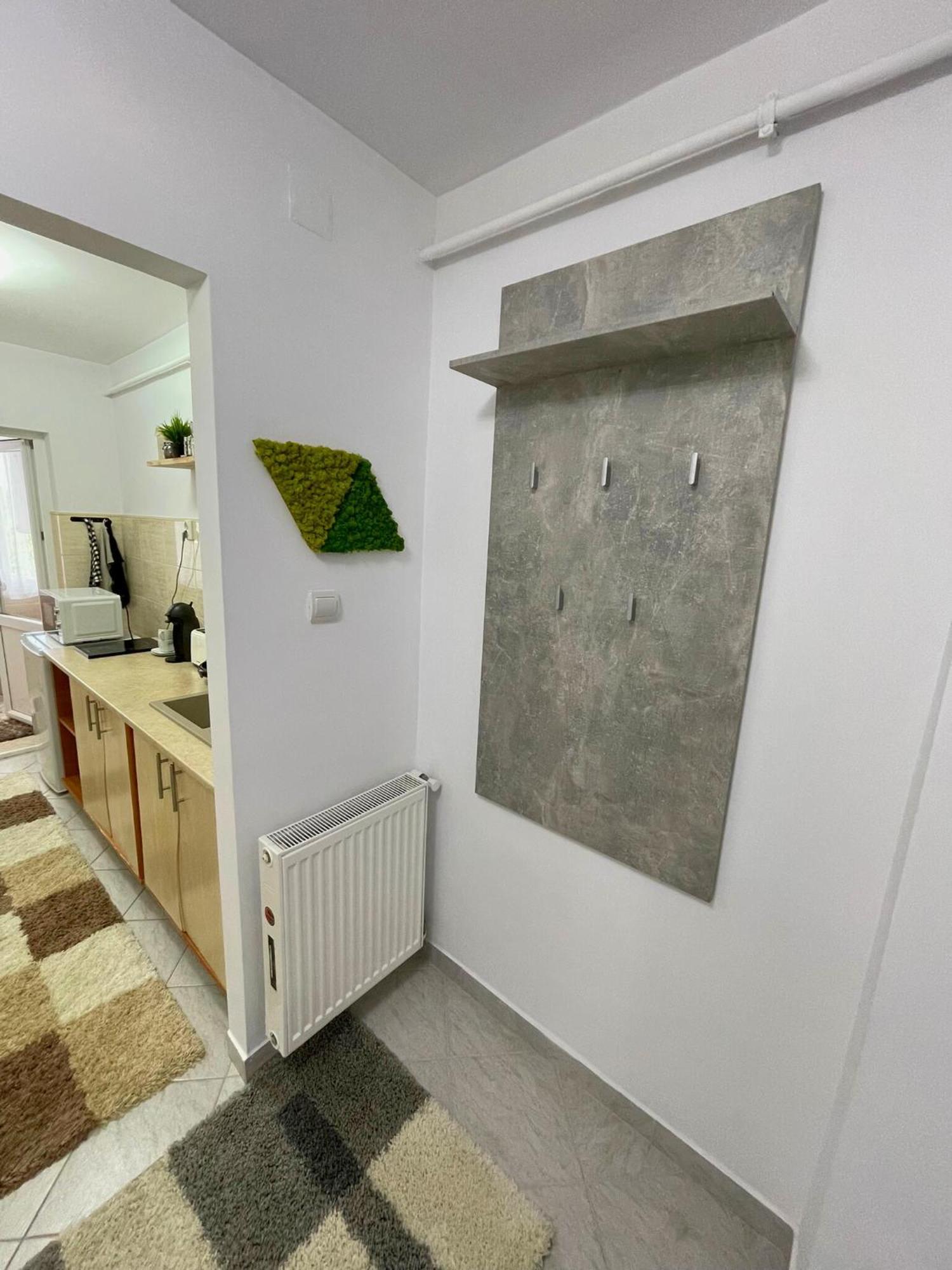 Apartament Fălticeni 外观 照片