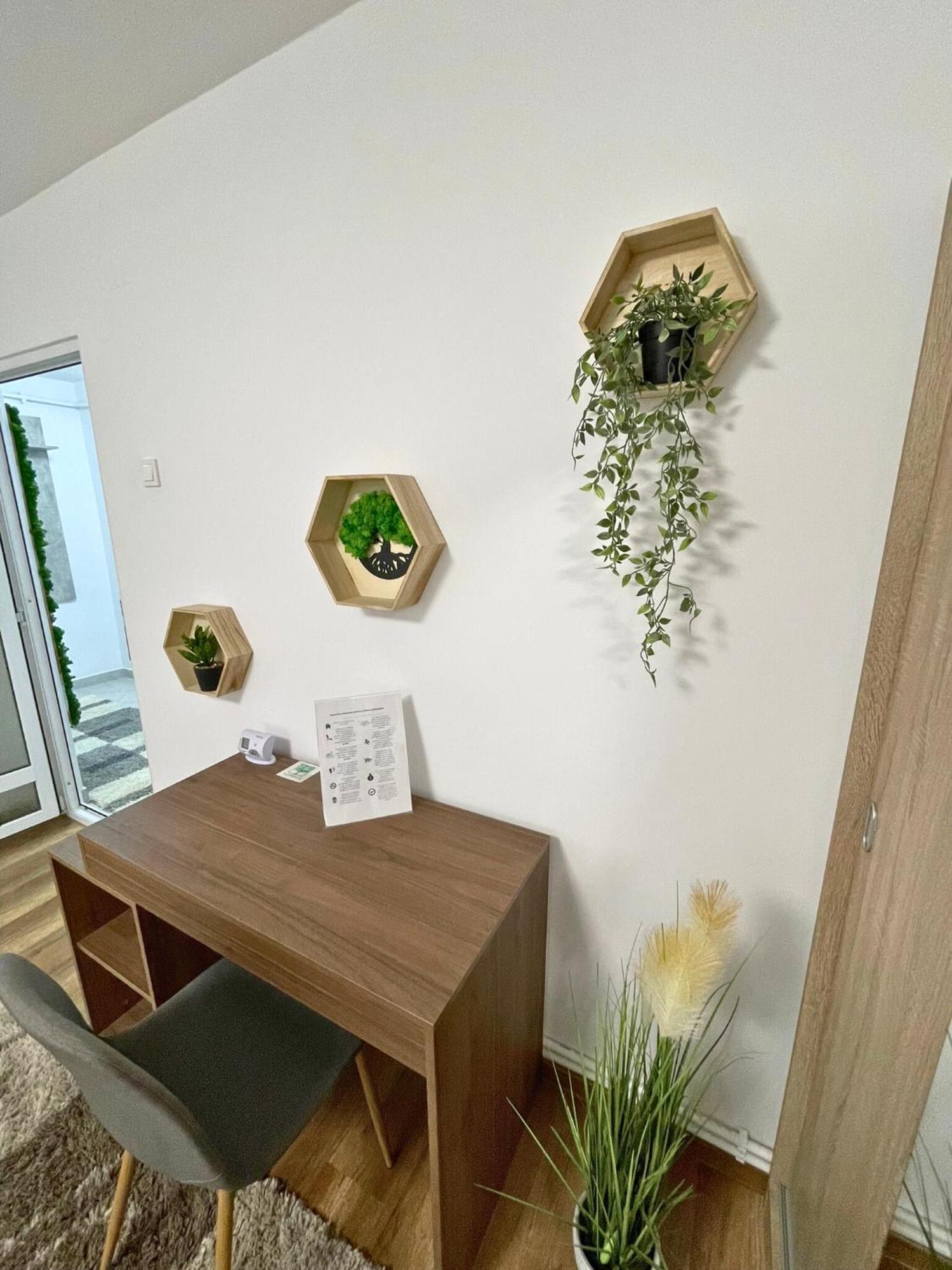 Apartament Fălticeni 外观 照片